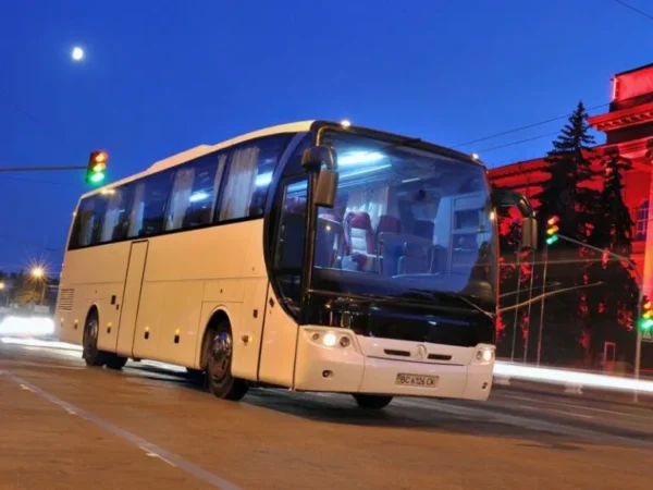 Bus img 600x450