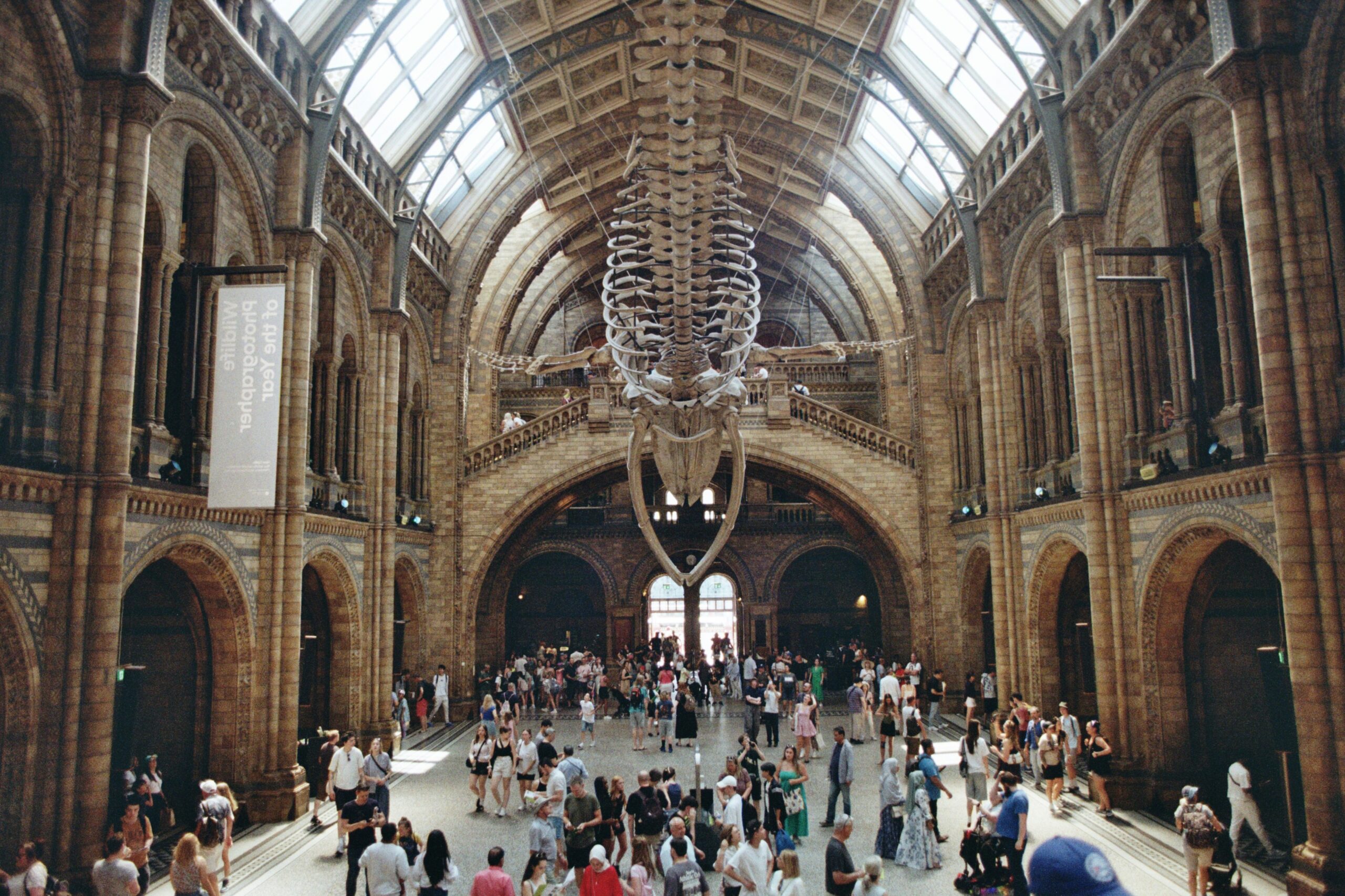 Trips and Tours city family holiday discount card showing a UK city break with museums, at