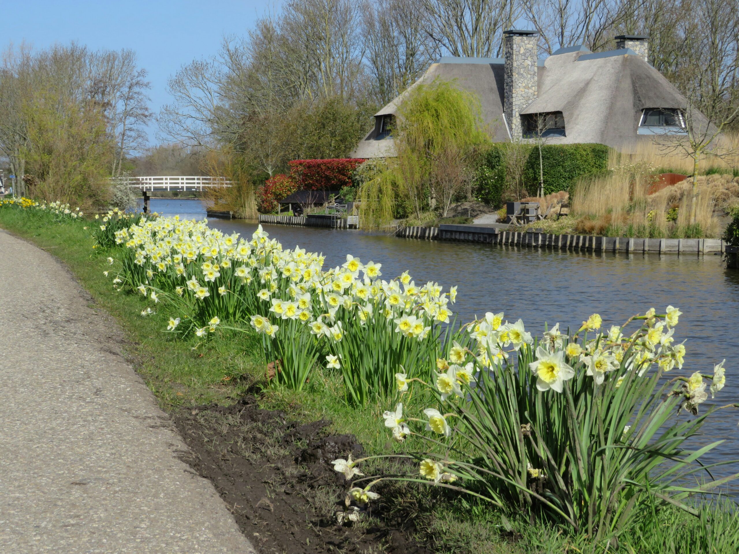 Norfolk Broads family boating summer scene with calm waterways and countryside for Trips a