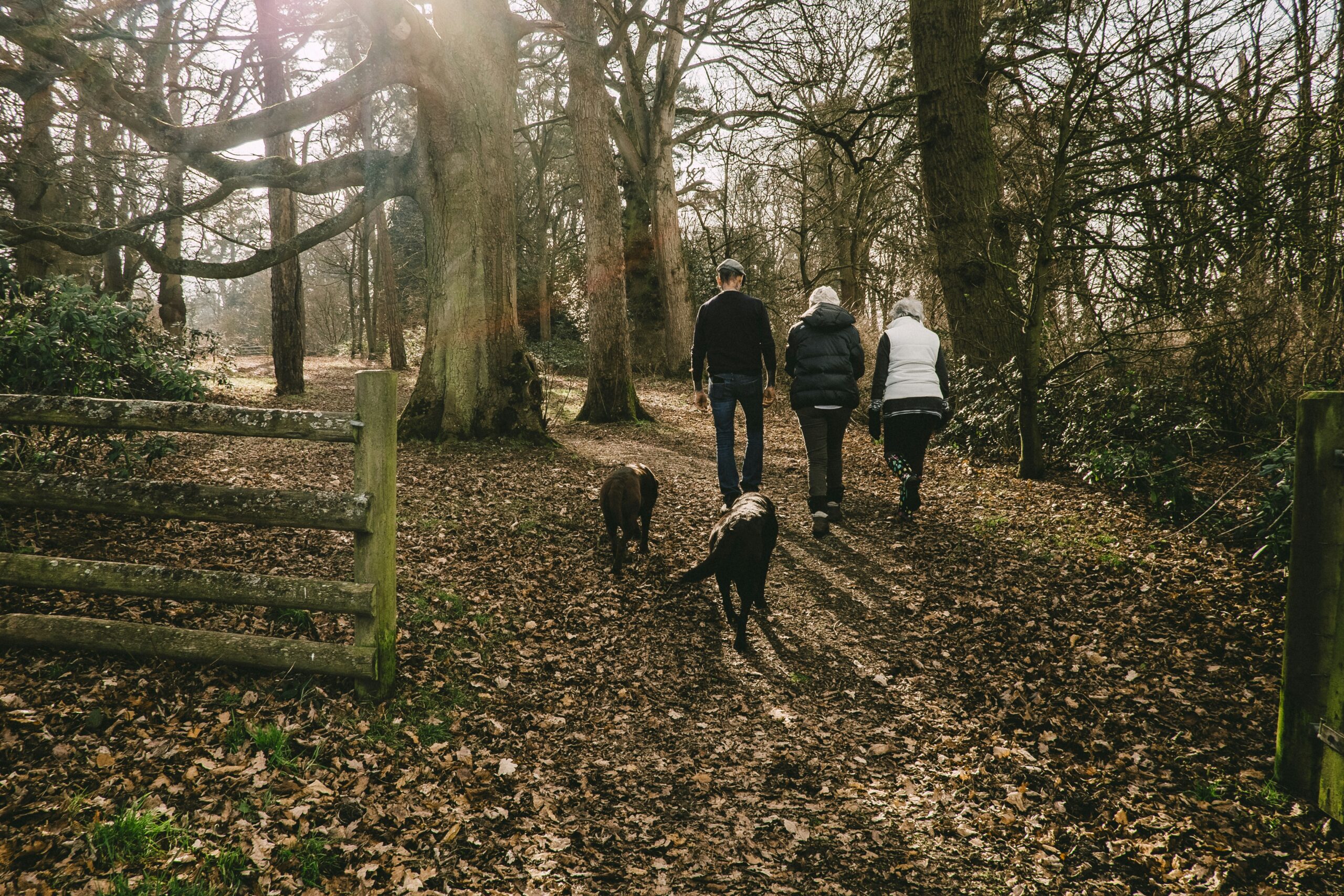 Image of a family walking through a green UK countryside trail with picnic rucksack, wildf